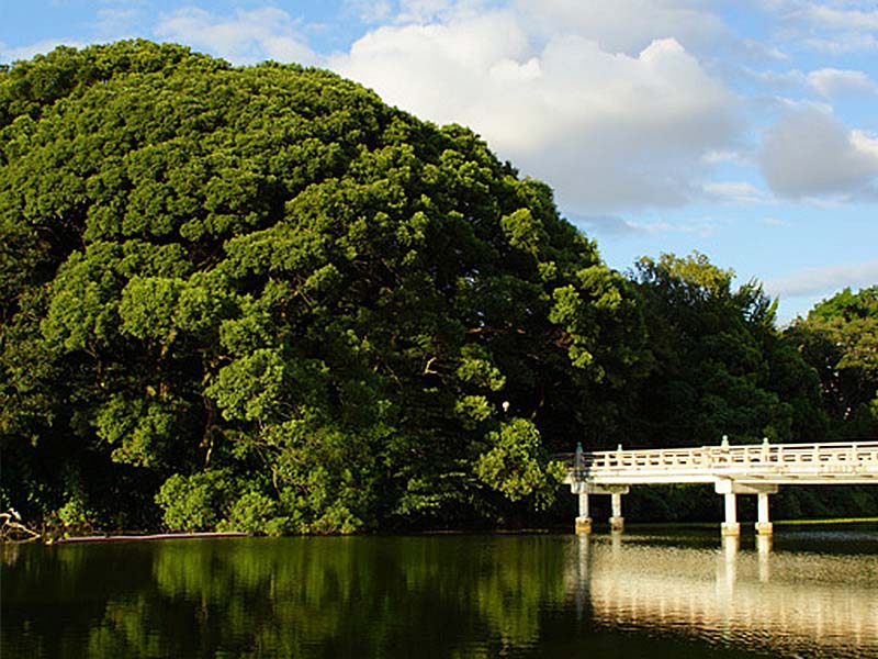 Chausuyama and Kawazoko Pond