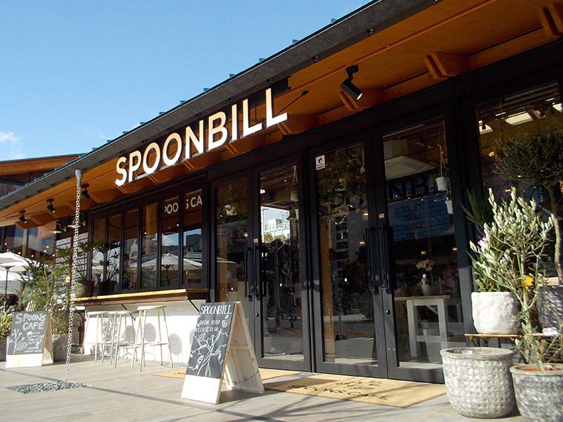 SPOONBILL