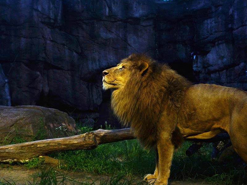 Tennoji Zoo